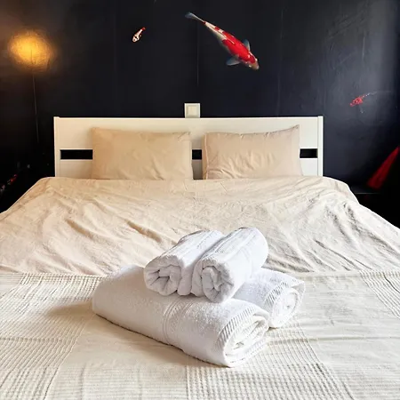 公寓 Modernes 2-zimmer-apartment In Der Altstadt 科布倫茨