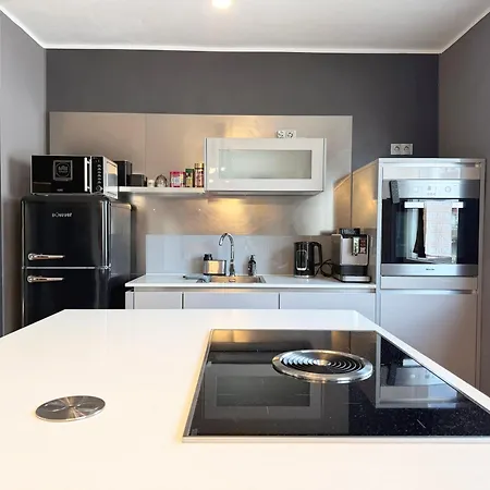 Modernes 2-zimmer-apartment In Der Altstadt *