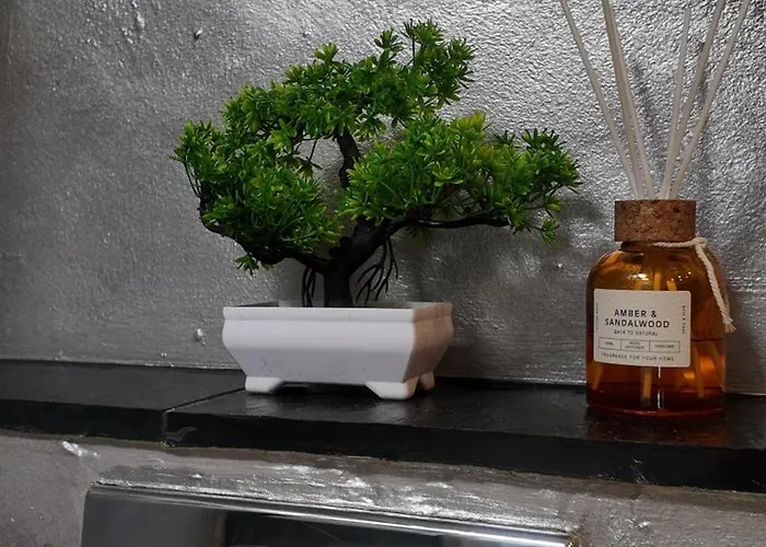 Modernes 2-zimmer-apartment In Der Altstadt Apartment